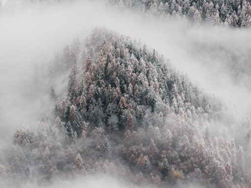 Hiver